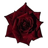 ROSE VELOURS ROUGE